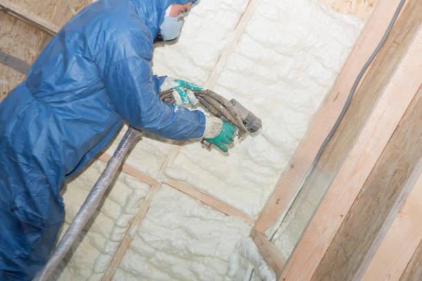 Professional Insulation in Mount Airy, MD